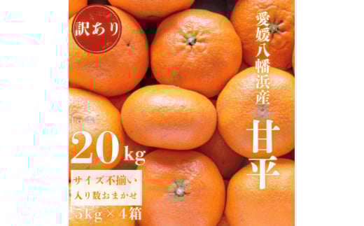 <愛媛が誇る 高級みかん 希少品種>訳あり 甘平 (かんぺい) 20kg<H20-69>【1620340】愛媛県八幡浜市82000果物・フルーツみかん・柑橘類