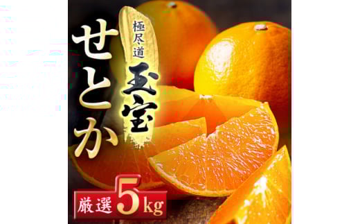 uʕuhvƂ5kgG64-62_ ݂ ~J k Ƃ t[c  ʕ ӂ[  ʎ lC Â W[V[ Y Yn { k lC Q ʏ` lsy16