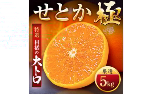 u[₯uhvk̑g!Ƃ5kgG49-79_ ݂ ~J k Ƃ t[c  ʕ ӂ[  ʎ lC Â W[V[ Y Yn { k lC Q