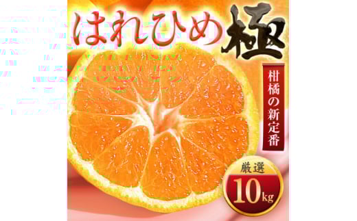 <太陽をたっぷり浴びた>はれひめ<極>10kg<F49-83>【1621795】愛媛県八幡浜市25000果物・フルーツみかん・柑橘類