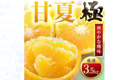 <太陽をたっぷり浴びた>甘夏<極>3.5kg<C49-84>【1621796】愛媛県八幡浜市10000果物・フルーツみかん・柑橘類