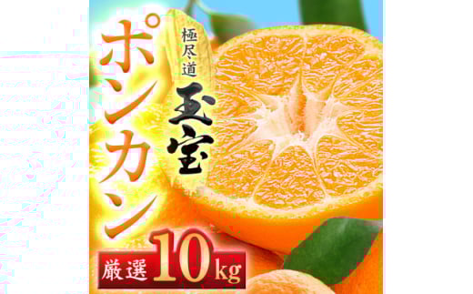 QYʕ|J@10kgF64-66y1621808zQls25000ʕEt[c݂Ek