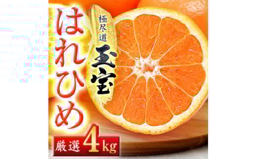 <愛媛名産>玉宝はれひめ 4kg<C64-70>【1621812】愛媛県八幡浜市10000果物・フルーツみかん・柑橘類