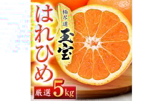 <愛媛名産>玉宝はれひめ 5kg<C64-71>【1621813】愛媛県八幡浜市13000果物・フルーツみかん・柑橘類
