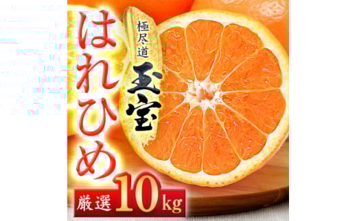 <愛媛名産>玉宝はれひめ 10kg<F64-72>【1621817】愛媛県八幡浜市25000果物・フルーツみかん・柑橘類