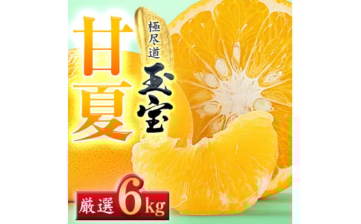<愛媛名産>玉宝甘夏 6kg<C64-74>【1621819】愛媛県八幡浜市13000果物・フルーツみかん・柑橘類