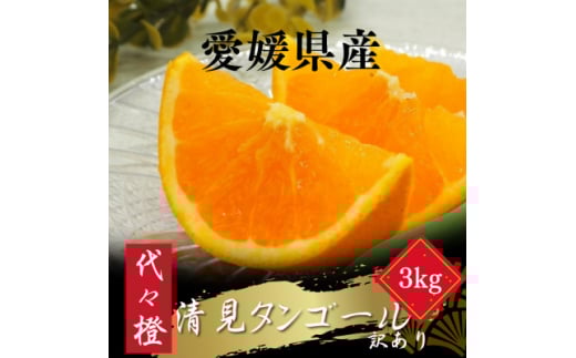 <トロッととろける果実><訳あり>清見タンゴール 3kg<A83-32>【1623456】愛媛県八幡浜市8000果物・フルーツみかん・柑橘類