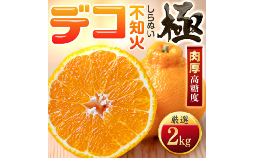 <太陽をたっぷり浴びた>デコ(不知火)<極>2kg<A49-95>【1623956】愛媛県八幡浜市8000果物・フルーツみかん・柑橘類