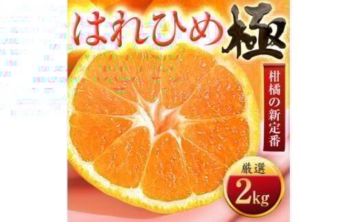 <太陽をたっぷり浴びた>はれひめ<極>2kg<A49-96>【1623957】愛媛県八幡浜市8000果物・フルーツみかん・柑橘類