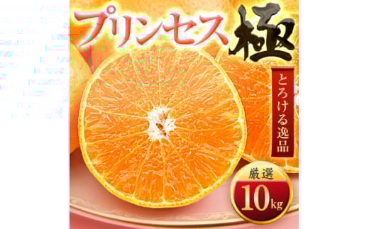 「新品種!!」<甘平×まどんな>愛果48号(紅プリンセスと同品種)<極>10kg<H49-93>【1621805】愛媛県八幡浜市75000果物・フルーツみかん・柑橘類