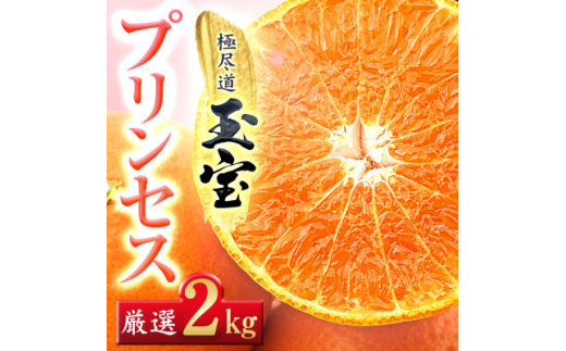 ≪新品種!!≫<甘平×まどんな>愛果48号(紅プリンセスと同品種)2kg<D64-76>_みかん ミカン 紅プリンセスと同品種 柑橘 柑橘類 フルーツ 果物 くだもの 人気 美味しい 愛媛県 八幡浜 ふるさと