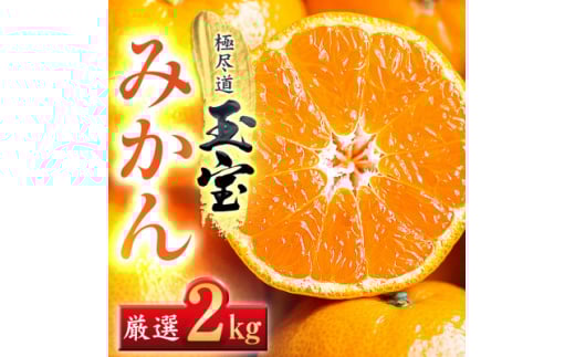 QYʕ݂ 2kgA64-84y1623967zQls8000ʕEt[c݂Ek