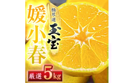 <愛媛名産>玉宝媛小春(ひめこはる) 5kg<H64-87>【1623970】愛媛県八幡浜市38000果物・フルーツみかん・柑橘類