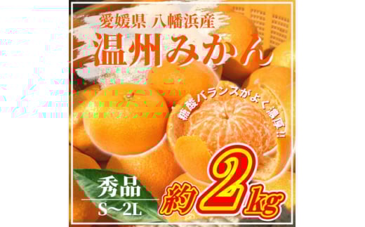 <先行受付>山海の西宇和みかん約2kg(秀品)<B81-3>【1625063】愛媛県八幡浜市9000果物・フルーツみかん・柑橘類
