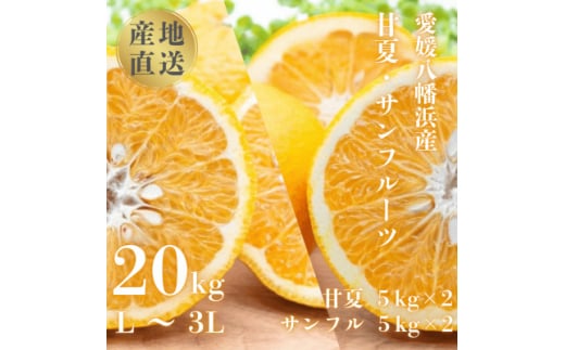 甘夏&サンフルーツ20kg (各10kg)<H20-84>【1625127】愛媛県八幡浜市38000果物・フルーツみかん・柑橘類