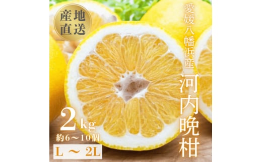 《果汁たっぷりジューシー》産地直送 愛媛八幡浜産 河内晩柑2kg<C20-90>【1625429】愛媛県八幡浜市13000果物・フルーツみかん・柑橘類