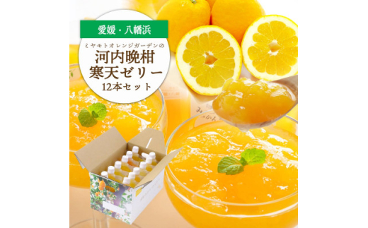 ゲル化剤・pH調整剤不使用!愛媛産 河内晩柑寒天ゼリー 12本セット<D25-223>【1628741】愛媛県八幡浜市15000菓子・スイーツプリン・ゼリー
