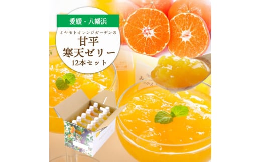 ゲル化剤・pH調整剤不使用!愛媛限定栽培品種 甘平(かんぺい)寒天ゼリー 12本<D25-226>【1629412】愛媛県八幡浜市15000菓子・スイーツプリン・ゼリー
