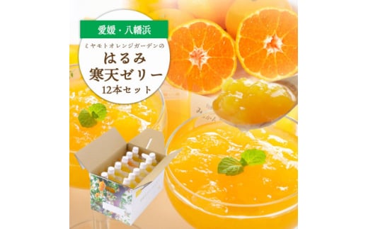 ゲル化剤・pH調整剤不使用!愛媛産 はるみ寒天ゼリー 12本セット<D25-232>【1629916】愛媛県八幡浜市15000菓子・スイーツプリン・ゼリー