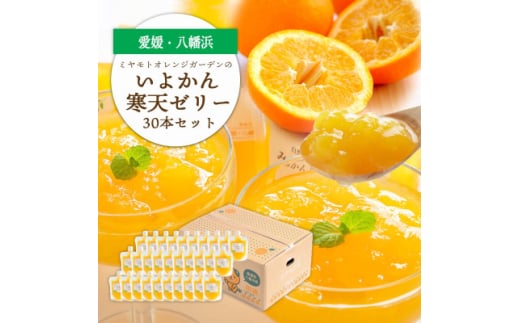 Q܁EpHܕsgp!QY 悩񊦓V[[ 30{ZbgH25-240y1630031zQls35000َqEXC[cvE[[