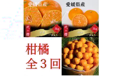 <発送月固定定期便><訳あり>甘平 せとか みかん<H83-51>全3回【4068840】愛媛県八幡浜市36000果物・フルーツみかん・柑橘類