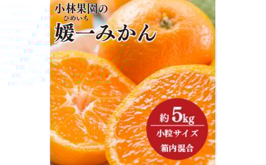 小林果園の媛一みかん<小粒>約5kg<C24-34>_ みかん 蜜柑 ミカン 愛媛みかん 愛媛 国産 箱  農家直送 産地直送 柑橘 かんきつ 温州みかん 旬 フルーツ 果物 くだもの 小玉【1633616】愛媛県八