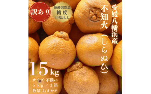<糖度14.0以上酸1.4以下>糖酸選別品 愛媛産 訳あり不知火(しらぬひ)15kg<G20-96>【1625364】愛媛県八幡浜市32000果物・フルーツみかん・柑橘類