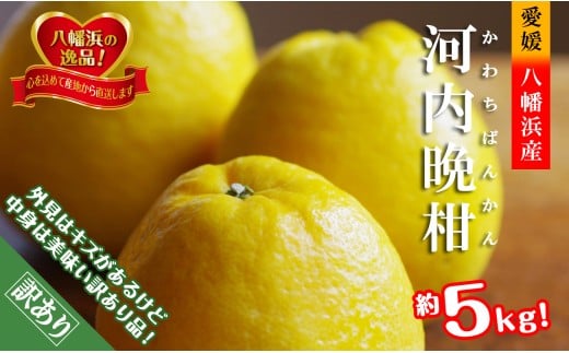 2026年4月〜順次出荷 爽やかでみずみずしい!初夏の「河内晩柑」約5キロ<訳あり><C39-82>【1640764】愛媛県八幡浜市10000果物・フルーツみかん・柑橘類