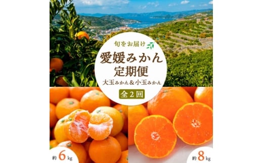 <発送月固定定期便><2025年11月より発送>みかん大玉8kg×小玉6kg<E25-246>全2回【4070081】愛媛県八幡浜市20000果物・フルーツみかん・柑橘類