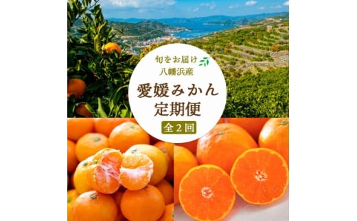 <発送月固定定期便>愛媛みかん大玉8kg(訳)×愛媛みかん5kg(秀)<F25-249>全2回【4070997】愛媛県八幡浜市25000果物・フルーツみかん・柑橘類