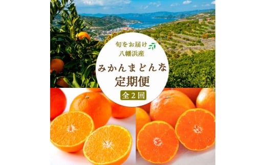<発送月固定定期便>愛媛みかん5kg×まどんな2.5kg <G25-253>全2回_みかん ミカン マドンナ 紅まどんな同品種 果物 フルーツ 旬 柑橘 柑橘類 甘い 定期便 果物旬 愛媛 【4071214】愛媛県八幡浜