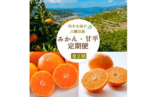 <発送月固定定期便>愛媛みかん大玉8kg(訳)×甘平3kg(訳)<G25-258>全2回【4071211】愛媛県八幡浜市30000果物・フルーツみかん・柑橘類