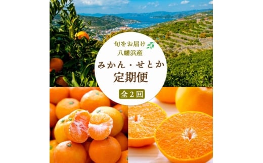 <発送月固定定期便>愛媛みかん大玉8kg(訳)×せとか2kg<G25-259>全2回【4071212】愛媛県八幡浜市30000果物・フルーツみかん・柑橘類