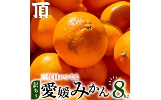 <訳あり(家庭用)>三代目がつくる愛媛みかん 8kg<C31-40>【1556518】愛媛県八幡浜市10000果物・フルーツみかん・柑橘類