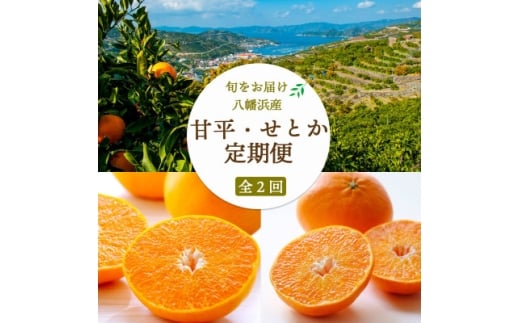 <発送月固定定期便>甘平(訳)3kg×せとか(訳)3kg<H25-269>全2回【4071244】愛媛県八幡浜市40000果物・フルーツみかん・柑橘類