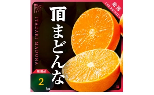 <冬限定の贅沢>ゼリーのような果肉!頂まどんな 2kg<D31-54>_みかん ミカン マドンナ 紅まどんな同品種 柑橘 柑橘類 フルーツ 果物 くだもの 人気 美味しい 愛媛県 八幡浜 ふるさと【1660046