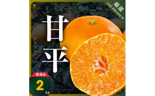 <愛媛限定>驚きの甘さ!幻の柑橘《甘平》2kg(M〜3L玉混合)<D31-55>【1660047】愛媛県八幡浜市15000果物・フルーツみかん・柑橘類