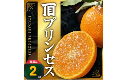 <紅プリンセス同品種>愛媛県産 新品種柑橘 愛果48号<甘平×まどんな>2kg<D31-56>【1660048】愛媛県八幡浜市15000果物・フルーツみかん・柑橘類