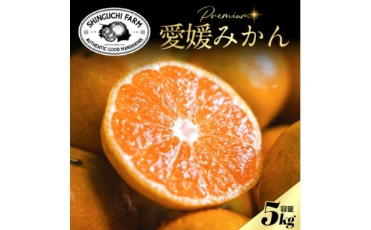 老舗農家が見極めたプレミアム<愛媛みかん5kg><愛媛県川上産><B70-90>【1671013】愛媛県八幡浜市8000果物・フルーツみかん・柑橘類