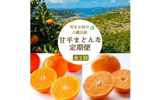 <発送月固定定期便>愛媛限定栽培品種 まどんな×甘平定期便<訳あり><H25-286>全2回【4071235】愛媛県八幡浜市38000果物・フルーツみかん・柑橘類