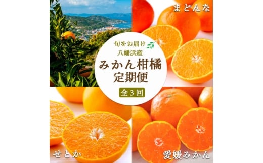 <発送月固定定期便>人気の3品種!みかん×まどんな×せとか<H25-287>全3回【4074072】愛媛県八幡浜市48000果物・フルーツみかん・柑橘類
