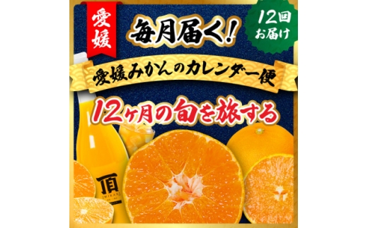 <発送月固定定期便>毎月届く!みかんのカレンダー便 〜12ヶ月の旬を旅する〜<H31-62>全12回【4074244】愛媛県八幡浜市108000果物・フルーツみかん・柑橘類