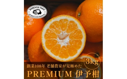 老舗農家が見極めたプレミアム<伊予柑3kg><愛媛県川上産><C70-94>【1671254】愛媛県八幡浜市10000果物・フルーツみかん・柑橘類