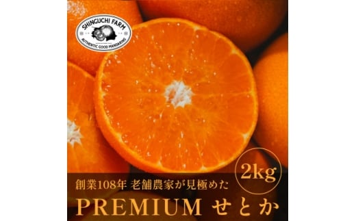 <数量限定>老舗農家が見極めたプレミアム<せとか2kg>柑橘の大トロ<愛媛県川上産><C70-96>【1671344】愛媛県八幡浜市10000果物・フルーツみかん・柑橘類