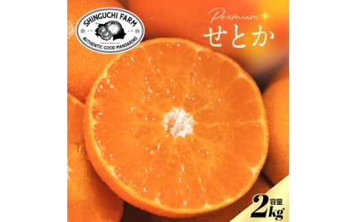 ʌ聄Vܔ_Ƃɂ߂v~AƂ2kgk̑gC70-96y1671344zQls10000ʕEt[c݂Ek