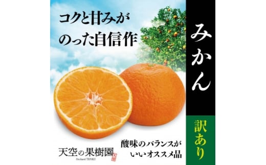 天空の果樹園から届く そらみかん (5kg)<訳あり><A95-4>【1668469】愛媛県八幡浜市8000果物・フルーツみかん・柑橘類