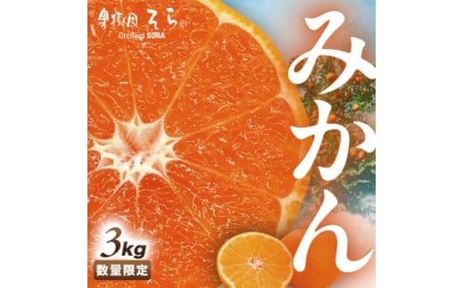 天空の果樹園から届くそらみかん (3kg)<A95-7>【1668512】愛媛県八幡浜市8000果物・フルーツみかん・柑橘類