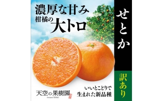 天空の果樹園から届く そらせとか (5kg)<訳あり><D95-8>【1668516】愛媛県八幡浜市15000果物・フルーツみかん・柑橘類