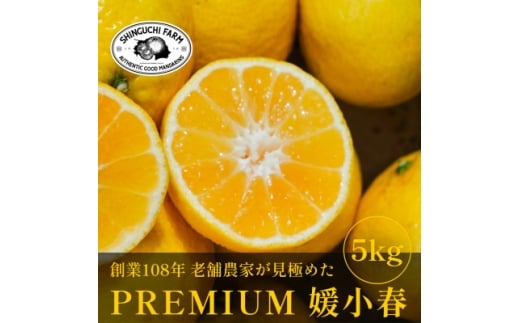 <数量限定>老舗農家が見極めたプレミアム<媛小春5kg> 愛媛県新品種<G70-101>【1671405】愛媛県八幡浜市30000果物・フルーツみかん・柑橘類