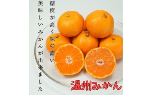 愛媛県八幡浜産 極甘みかん 10kg<G96-3>【1670805】愛媛県八幡浜市30000果物・フルーツみかん・柑橘類